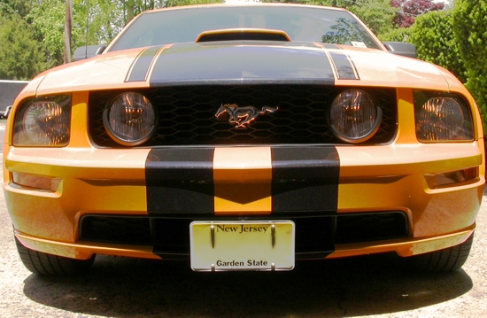 Mustang Front